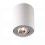 PHILIPS Pillar Spot Svetiljka Bela 56330/31/Pn - slika 1