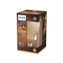 PHILIPS LED GIANT VINTAGE 6,5W(40W) E27 A160 2000K DIM PS706 - slika 1
