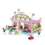 SLUBAN Kocke, bilijar klub, 282 kom A016147 - slika 2