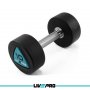 LivePro LP8002 Bučice Urethan 2x10kg - slika 2