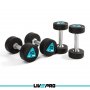 LivePro LP8002 Bučice Urethan 2x10kg - slika 1
