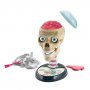 SCIENCE & PLAY Crazy Anatomic Set CL61520 - slika 2