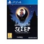 SOEDESCO PS4 Among The Sleep Enhanced Edition - slika 1