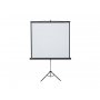 ALPHA Platno za projektor 240x240 cm tripod 109534140 - slika 1