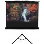ALPHA Platno za projektor 4:3, 183x244 cm,120'', tripod 46862476 - slika 1