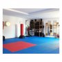 RING Tatami strunjača puzzle (100x100x2) RX 3019B - slika 3