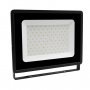 PROSTO LED reflektor 100W - slika 1