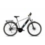 CAPRIOLO E-bike eco 700.3 man sivo-zeleno - slika 1