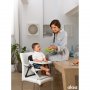 CHICCO Hranilica Chairy, Ladybug - slika 2