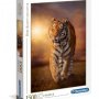 CLEMENTONI PUZZLE PZL 1500 HQC TIGER - slika 1