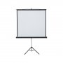 2X3 PLATNO ZA PROJEKCIJE  POP TRIOPOD MOBILE ETP1419 145X195CM - slika 1