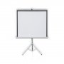 2X3 PLATNO ZA PROJEKCIJE  POP TRIOPOD MOBILE ETPR 1515R 150X150CM - slika 1