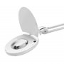 PROSTO Stona lampa sa lupom LLP6025-8 - slika 3