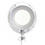 PROSTO Stona lampa sa lupom LLP6017-8 - slika 2