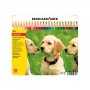 FABER-CASTELL Drvene bojice Eberhard 1/24 metalna kutija 514823 - slika 2