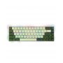 AULA Mehanička tastatura F3068  zeleno/bela RGB 60% - slika 1