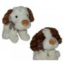ED Pas 30cm - slika 1