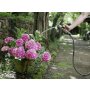 KARCHER Hose PrimoFlex Premium 1/2''- 20m 2.645-324.0 - slika 4