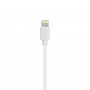 S-LINK Swapp SW-C635 auto punjač za telefon+kabl lightning 17654 - slika 2