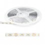 HENNESSY LIGHTING TECHNOLOGY LED traka toplo belo + dnevno svetlo 120 LED / 1m LTR2835/120CCT-12 - slika 1