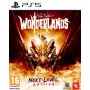 2K Games PS5 Tiny Tina’s Wonderlands Next Level Edition - slika 1