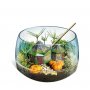DEXY CO HARRY POTTER TERATIUM SET - slika 3