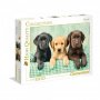 CLEMENTONI PUZZLE PZL 1000 LABRADOR-THREE LABS HQC - slika 1