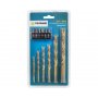 FIELDMANN FDV 9004 Set burgija i bitova (12 delova) - slika 1