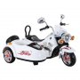 HOLLICY Motor na akumulator sa prikolicom - slika 1