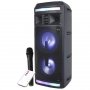 Eden Karaoke zvučnik ED-606 25W BT/bežični mikrofon - slika 1