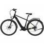 MS ENERGY Električni bicikl e-Bike c101, Siva, 1234381 - slika 1