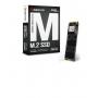 BIOSTAR SSD M.2 NVME 256GB  1850MBs/950MBs M700 - slika 1