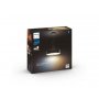 PHILIPS Visilica Fair Hue Pendant, Crna, 929003054501,18147 - slika 4