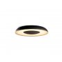 PHILIPS Plafonjera Still Hue,Crna,929003055501,18182 - slika 1
