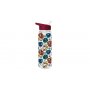 Pyramid International Harry Potter (Stand Together) Plastic Drinks Bottle - slika 1