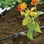 GARDENA Prskalica kap po kap - slika 2