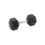 HAWK Bučica hex teg 10 kg 291235 - slika 1