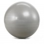 HAWK Pilates lopta 55cm silver - slika 1