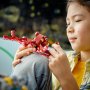 LEGO CREATOR EXPERT 31130 Misija pronalaženja potonulog blaga - slika 4