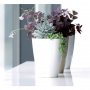 Prosperplast Saksija Coubi 13x13x17cm bela  PR DUKO130-S449 - slika 2