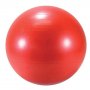 LEDRAPLASTIC Lopta Body ball 55 - slika 1