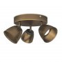 PHILIPS COUNTY spot lampa – 53353/06/16 - slika 1
