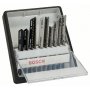 BOSCH 10-delni Robust Line set listova ubodne testere Top Expert T-prihvat 2607010574 - slika 1