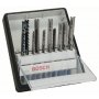 BOSCH 10-delni Robust Line set listova ubodne testere Wood and Metal T-prihvat 2607010542 - slika 1