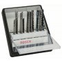 BOSCH 10-delni Robust Line set listova ubodne testere Wood Expert T-prihvat 2607010540 - slika 1