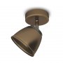 PHILIPS Reflektorska lampa County single spot bronza 53350/06/16 - slika 1