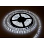 XLED Led traka 2835W-120 hladno bela120 Led/m IP20 12 W/m 18-20lm 5 m kotur ( XLED-D-2835WW-120 ) - slika 1