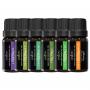 Anjou Aromatherapy set ulja za osveživače Anjou AJ-ES001 6 aroma /10ml - slika 1