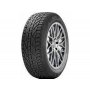 TIGAR 205/55R17 95V Winter zim - slika 1
