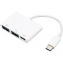 FAST ASIA Adapter TIP-C na 2xUSB+TIP-C - slika 1